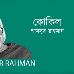 Kokil কোকিল