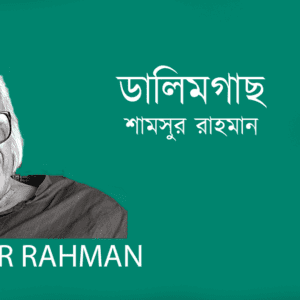 Dalimgach ডালিমগাছ