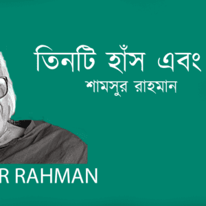 Tinti Hash O Pitamoho তিনটি হাঁস এবং পিতামহ