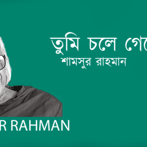 Tumi Chole Geleo তুমি চলে গেলেও