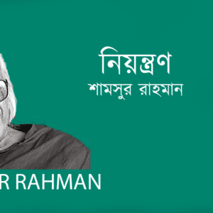 Niontron নিয়ন্ত্রণ