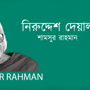 Niruddesh Deyal নিরুদ্দেশ দেয়াল