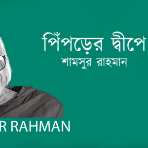 Piprer Dipe পিঁপড়ের দ্বীপে