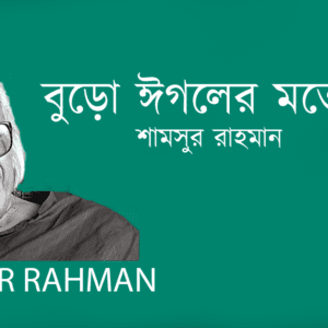 Buro Egoler Moto বুড়ো ঈগলের মতো?